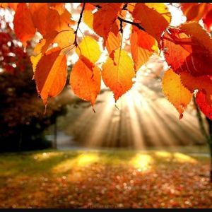 Meet your Posher, Melinda